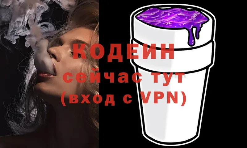 блэк спрут ссылки  Краснослободск  Кодеиновый сироп Lean Purple Drank  закладки 